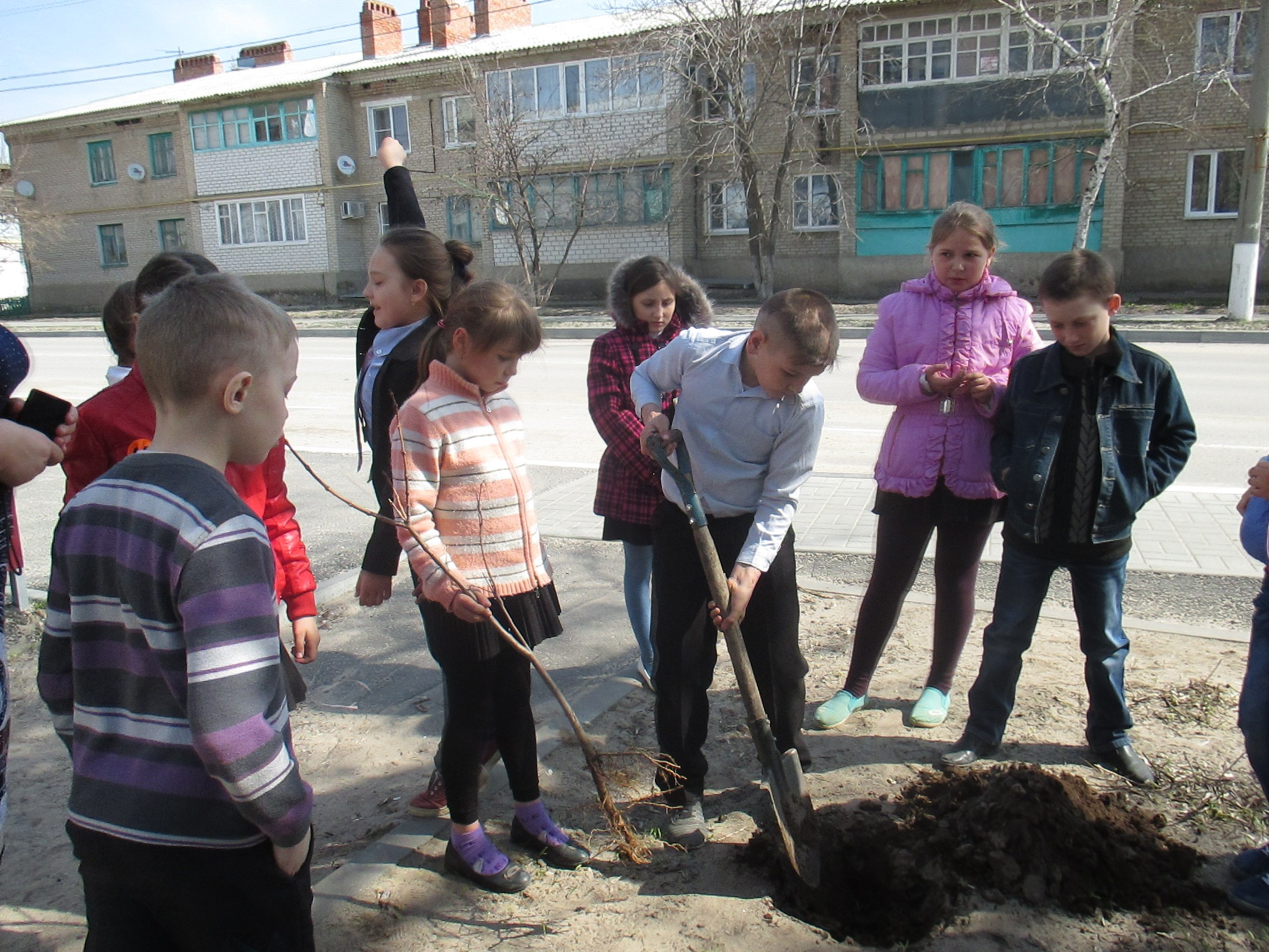 Подробнее о статье День древонасаждения