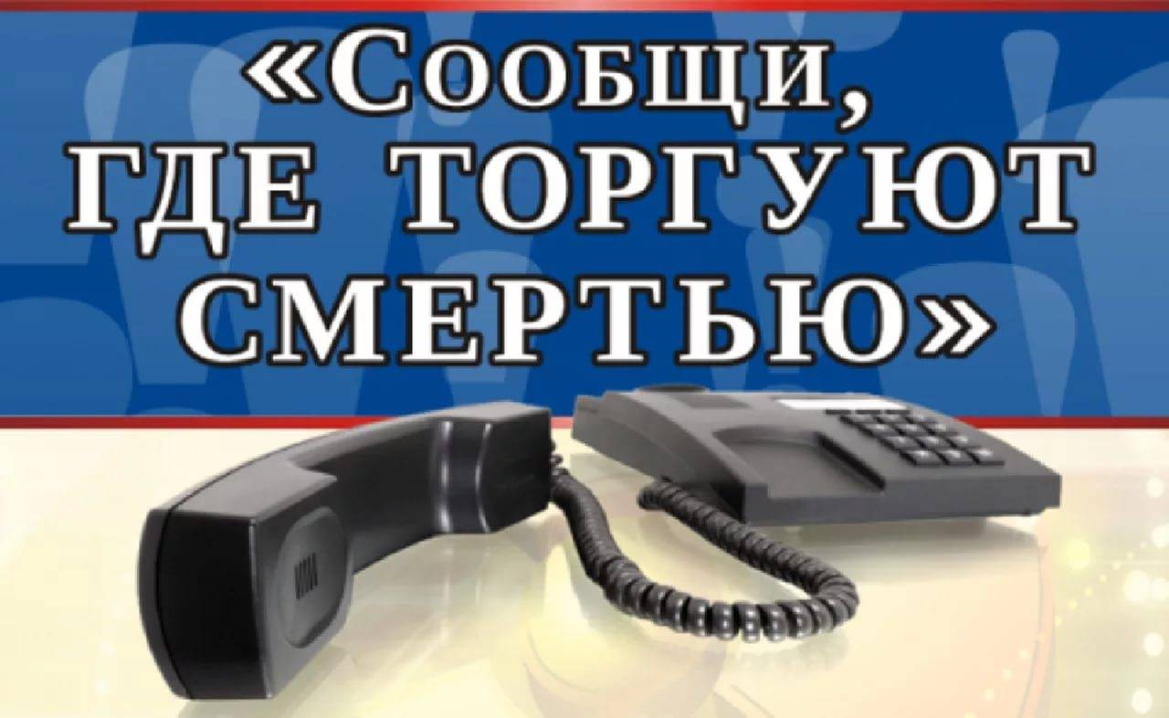Вы сейчас просматриваете Акции  «Сообщи, где торгуют смертью»