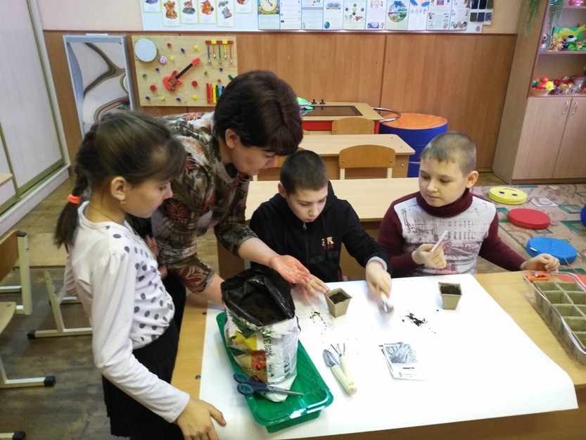 Инклюзивное образование. «Огород на подоконнике»