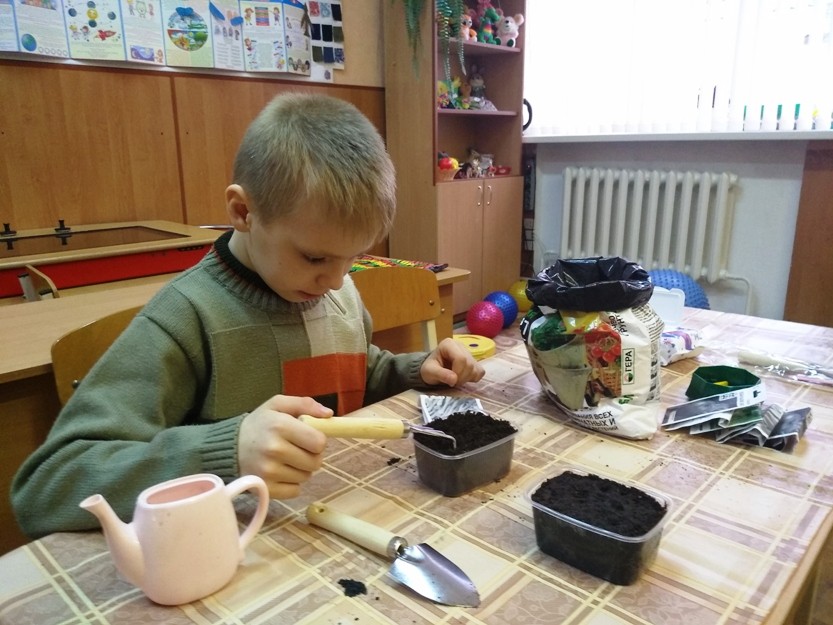 Инклюзивное образование. «Огород на подоконнике»