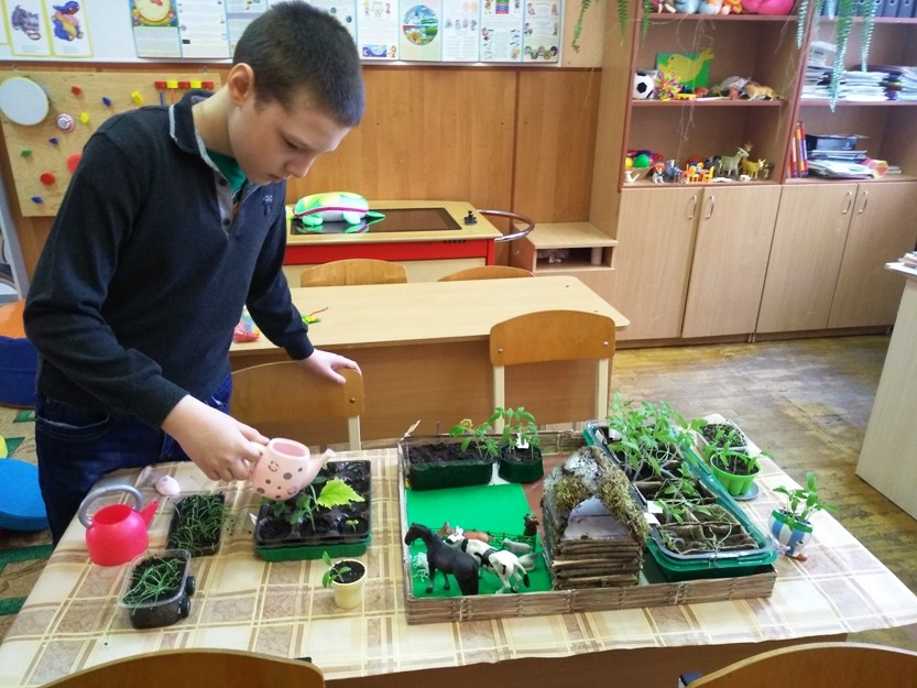 Инклюзивное образование. «Огород на подоконнике»