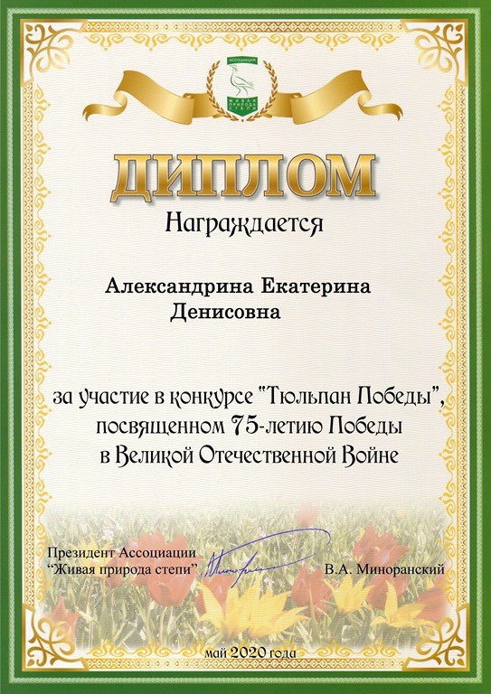 Тюльпаны Победы
