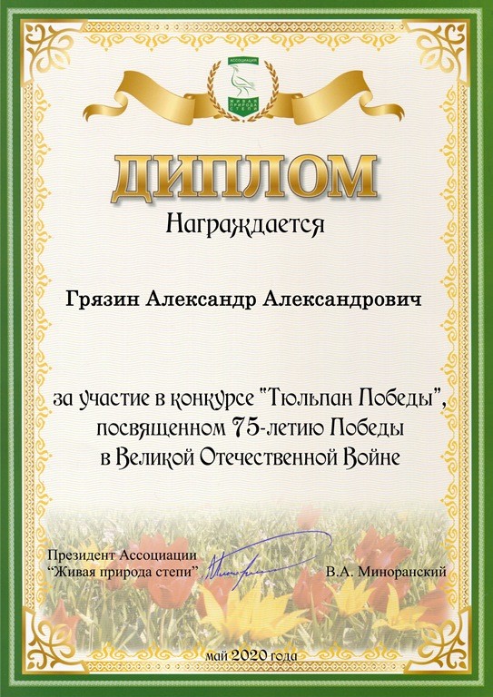 Тюльпаны Победы