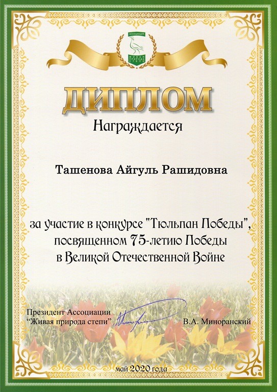 Тюльпаны Победы
