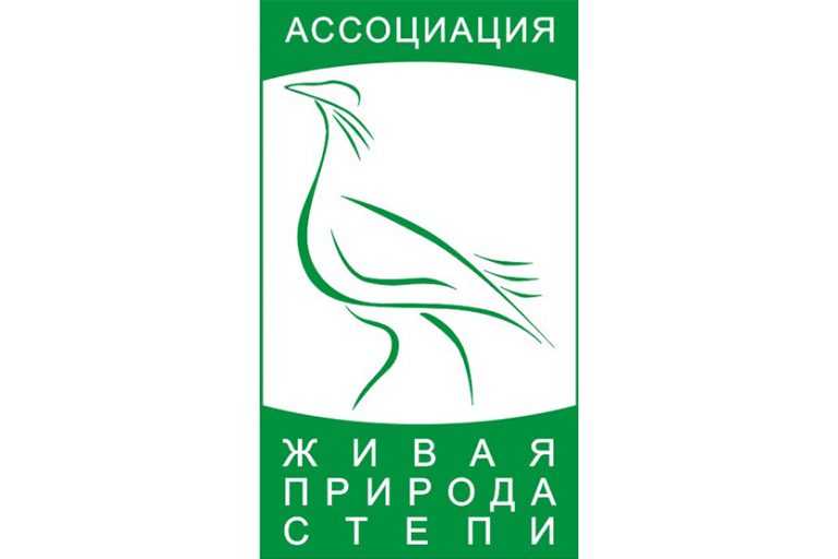 Подробнее о статье Тюльпаны Победы
