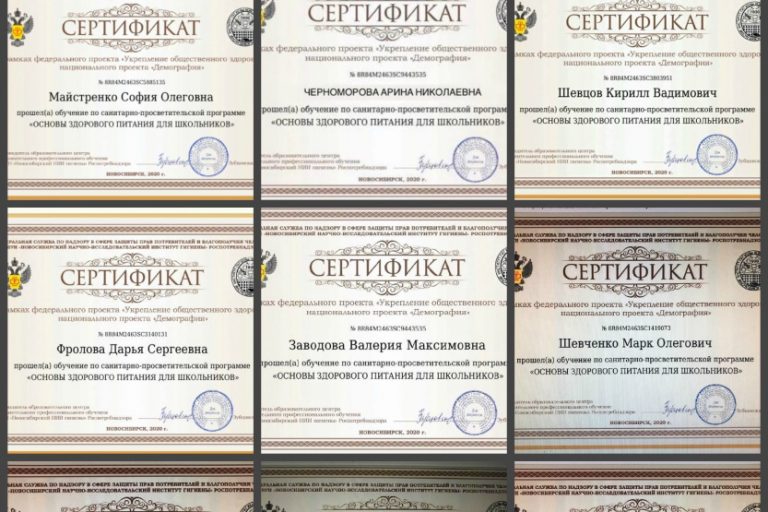 Подробнее о статье Основы здорового питания