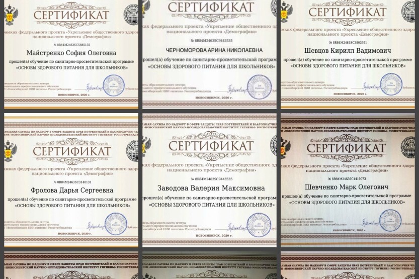 Вы сейчас просматриваете Основы здорового питания