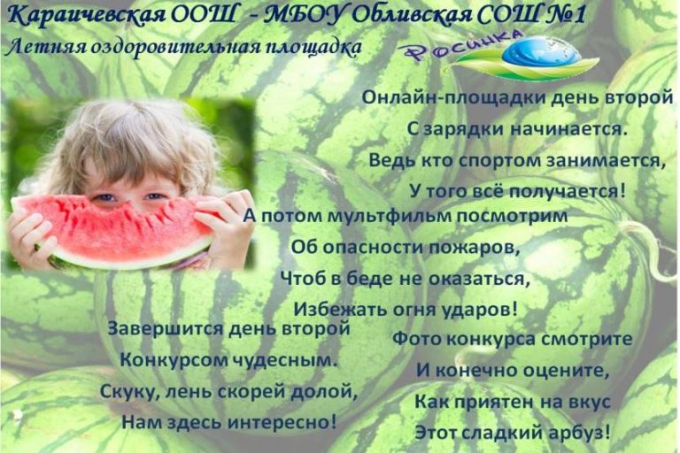 Подробнее о статье День арбуза