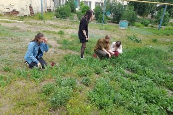 Подробнее о статье Ловкие и смелые