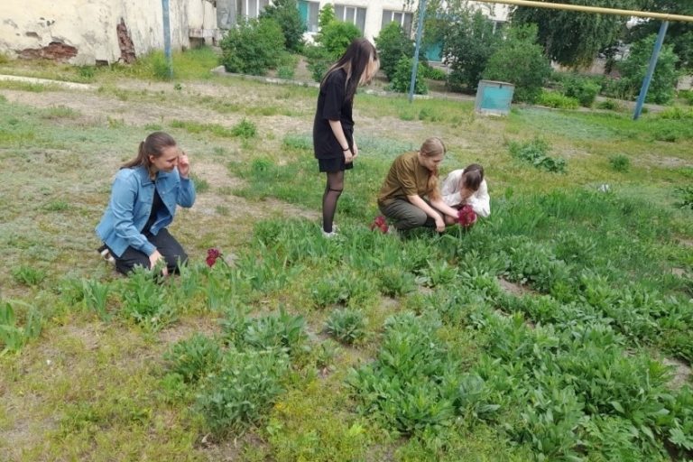Подробнее о статье Ловкие и смелые