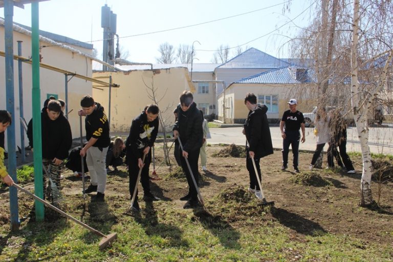 Подробнее о статье Акция «День леса»