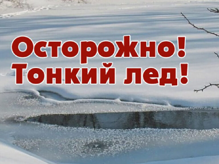 Подробнее о статье Осторожно, тонкий лёд!